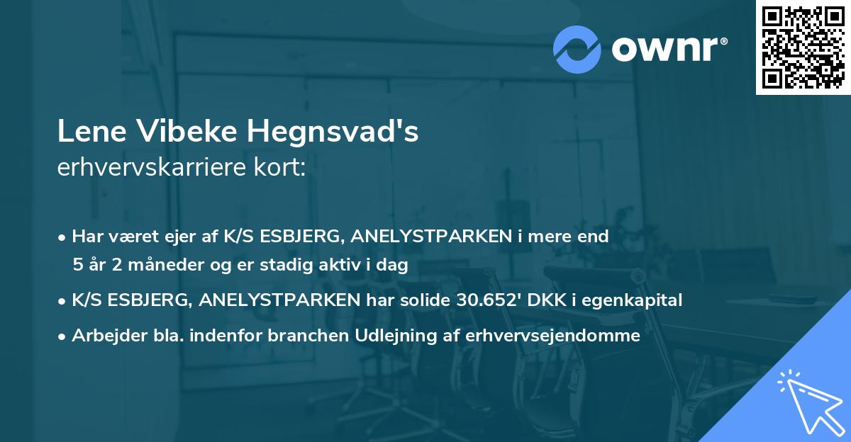 Lene Vibeke Hegnsvad's erhvervskarriere kort