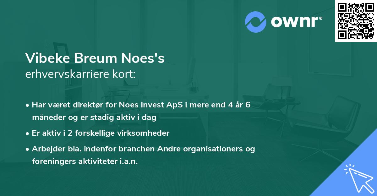 Vibeke Breum Noes's erhvervskarriere kort