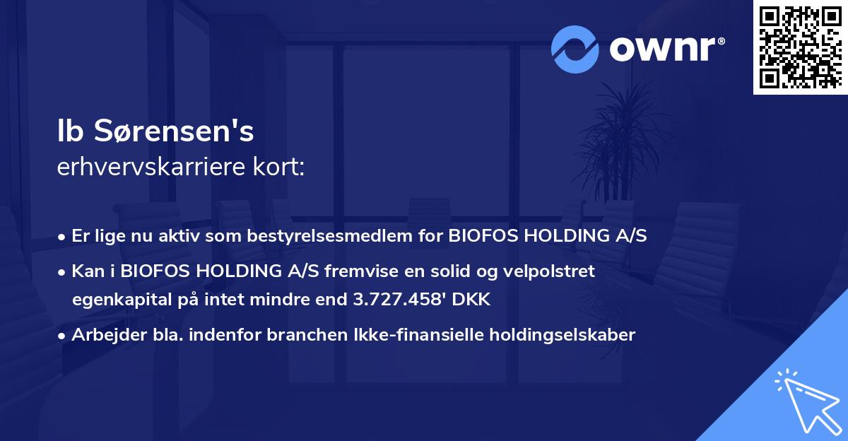 Ib Sørensen's erhvervskarriere kort