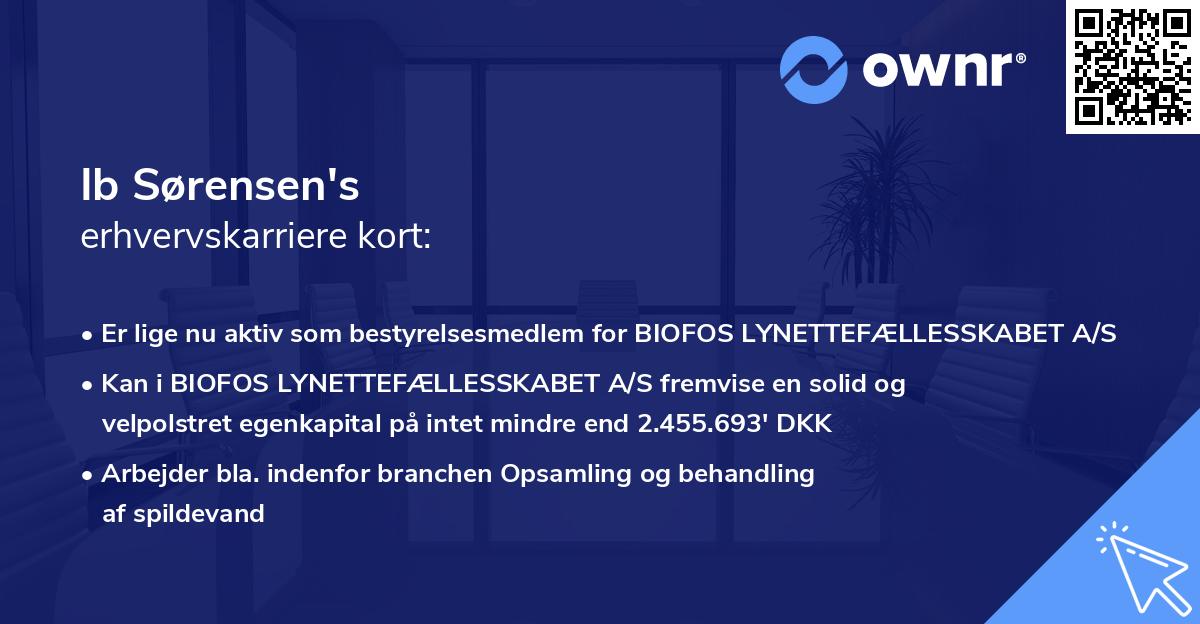 Ib Sørensen's erhvervskarriere kort