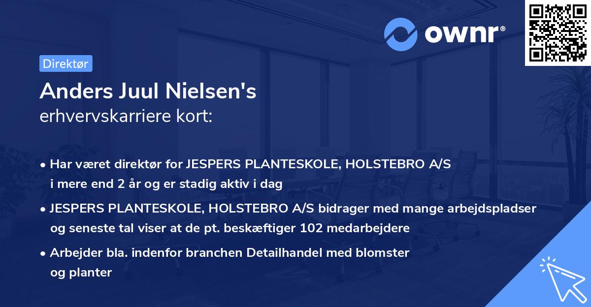 Anders Juul Nielsen's erhvervskarriere kort