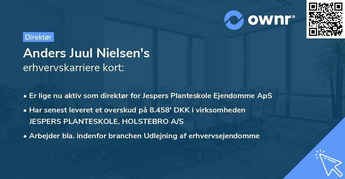 Anders Juul Nielsen's erhvervskarriere kort