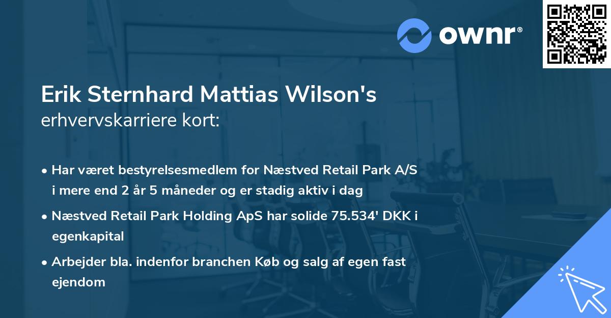 Erik Sternhard Mattias Wilson's erhvervskarriere kort