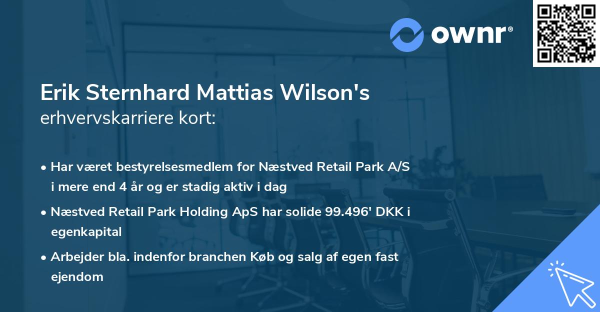 Erik Sternhard Mattias Wilson's erhvervskarriere kort