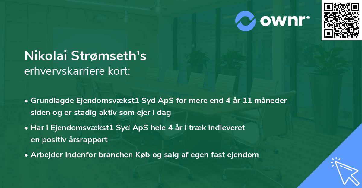 Nikolai Strømseth's erhvervskarriere kort