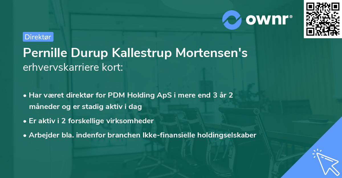 Pernille Durup Kallestrup Mortensen's erhvervskarriere kort