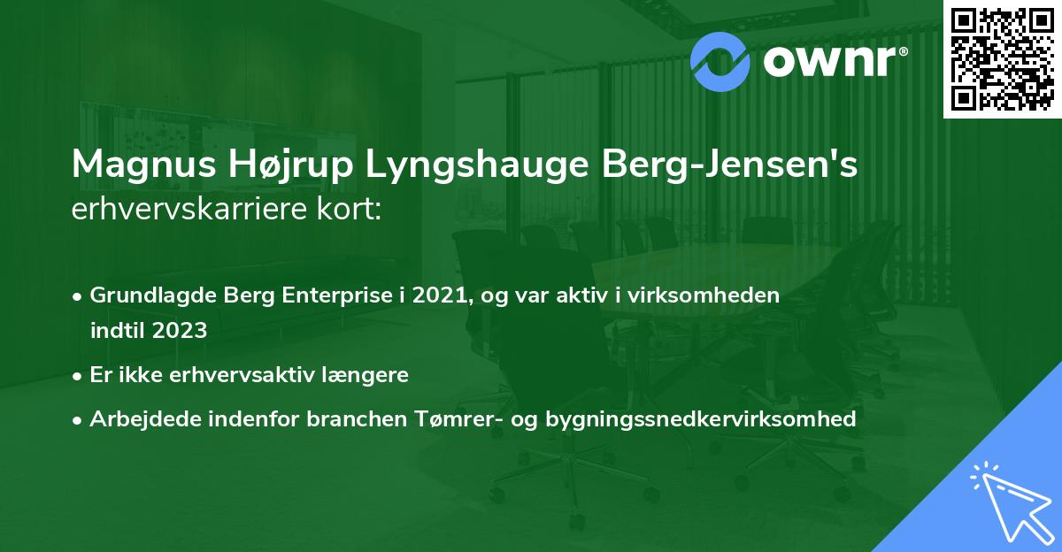 Magnus Højrup Lyngshauge Berg-Jensen's erhvervskarriere kort