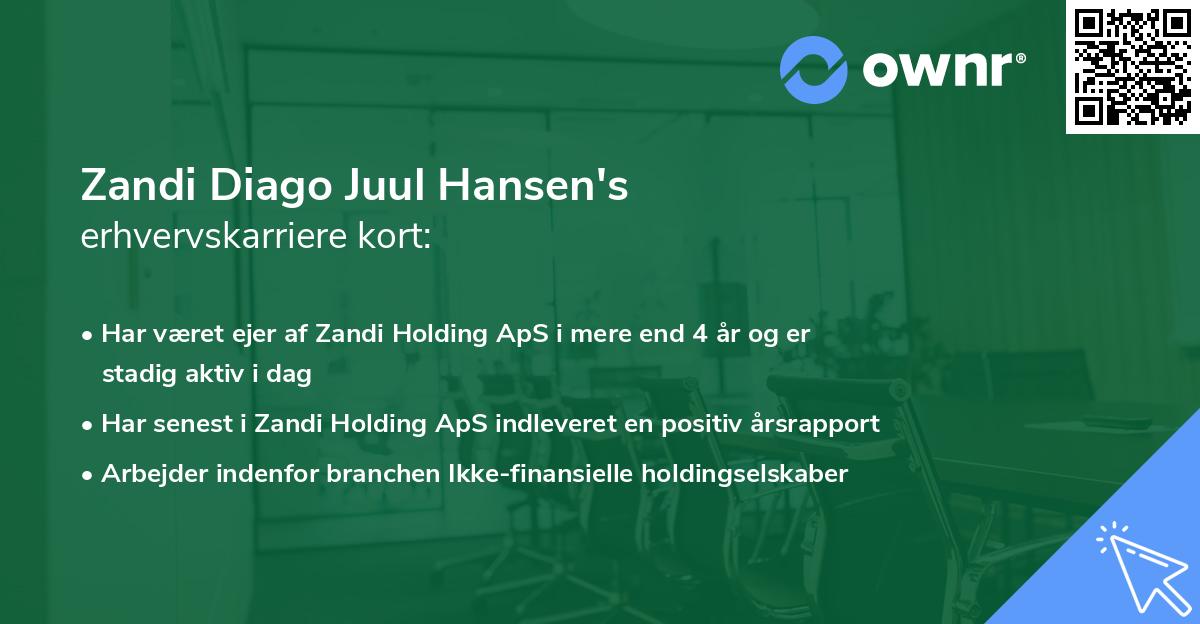Zandi Diago Juul Hansen's erhvervskarriere kort