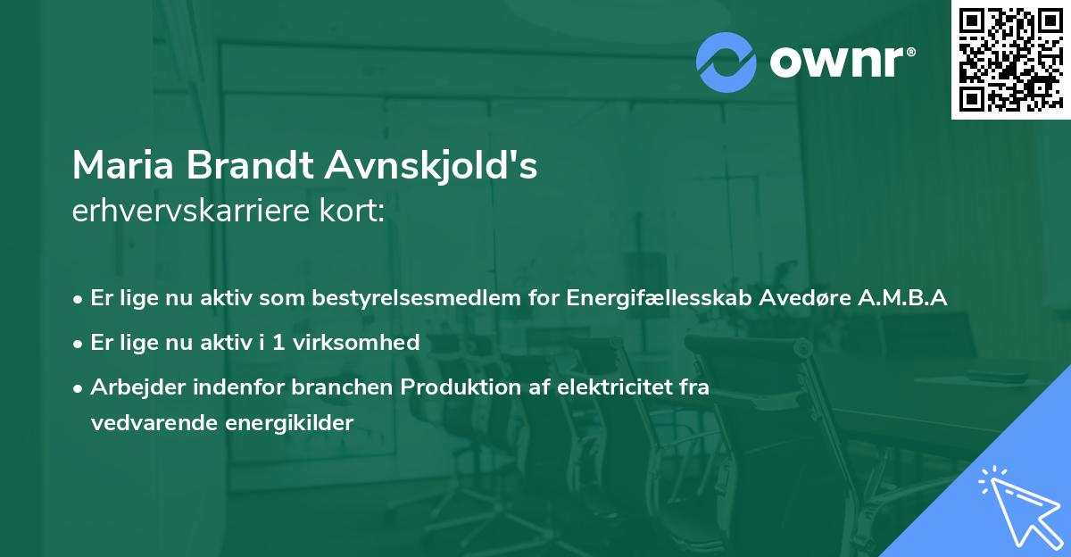 Maria Brandt Avnskjold's erhvervskarriere kort