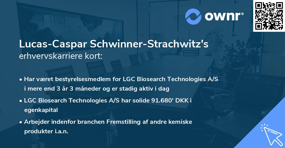 Lucas-Caspar Schwinner-Strachwitz's erhvervskarriere kort