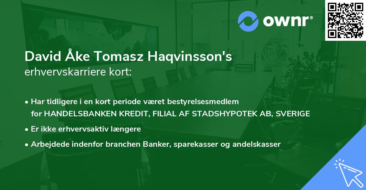 David Åke Tomasz Haqvinsson's erhvervskarriere kort