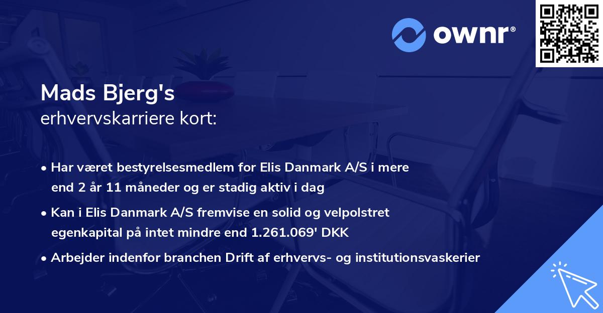 Mads Bjerg's erhvervskarriere kort