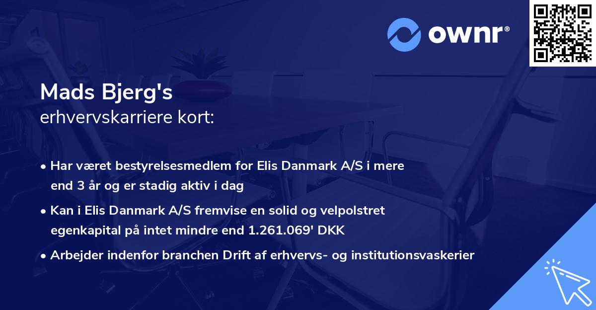 Mads Bjerg's erhvervskarriere kort