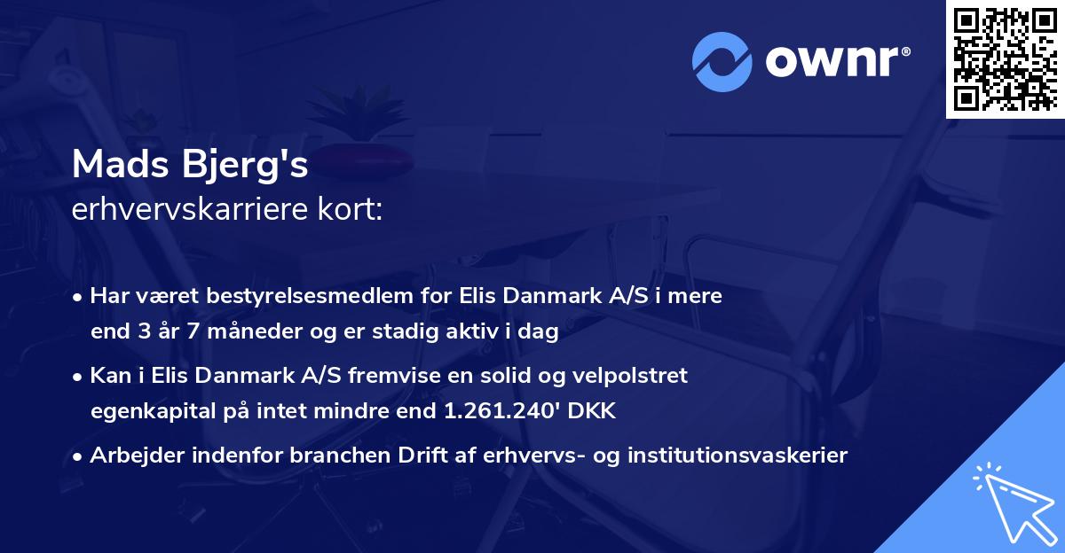 Mads Bjerg's erhvervskarriere kort