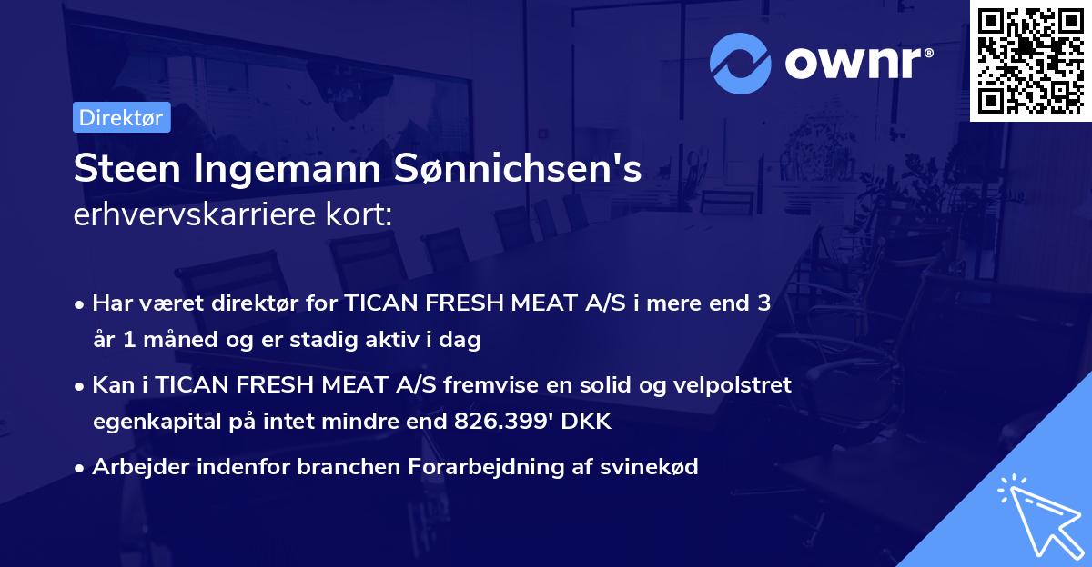Steen Ingemann Sønnichsen's erhvervskarriere kort