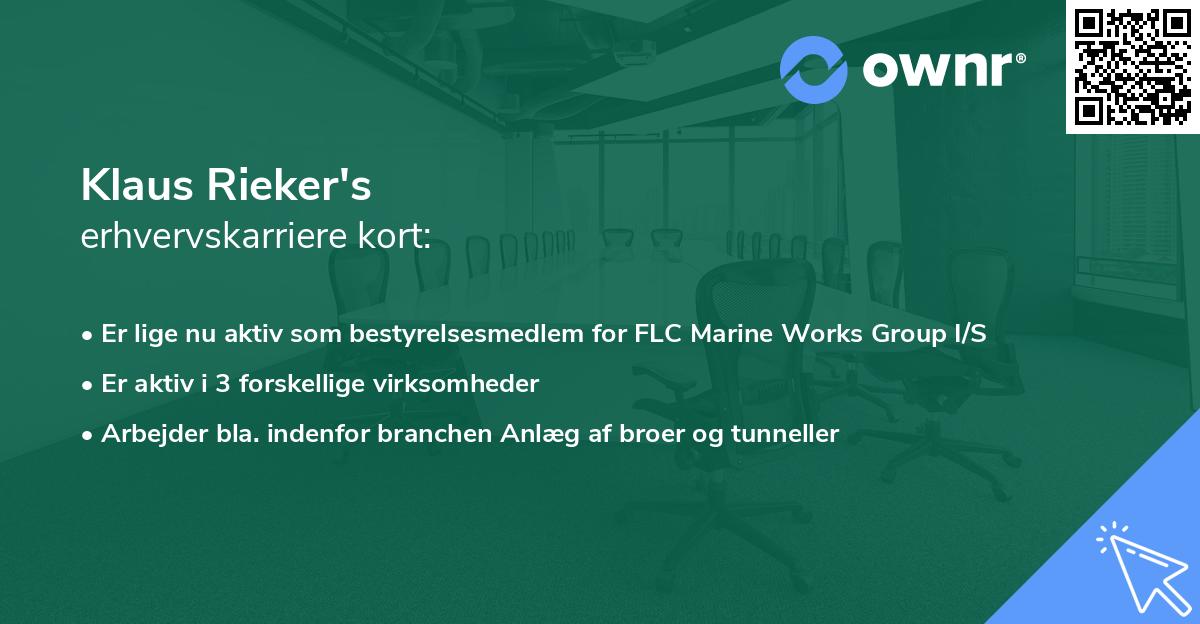 Klaus Rieker's erhvervskarriere kort