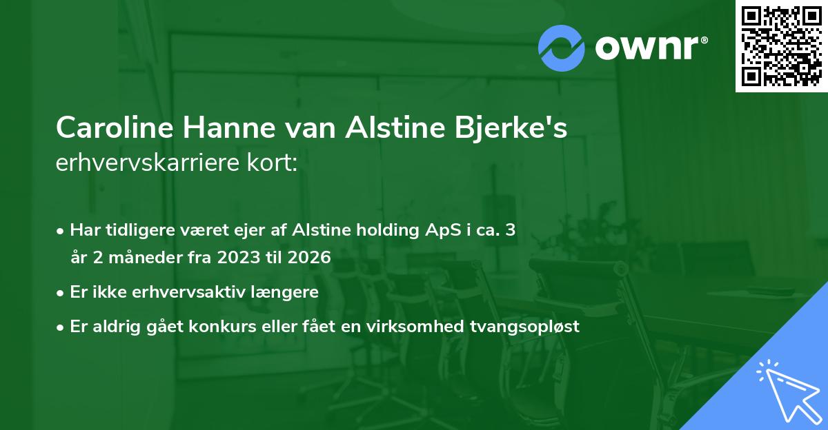 Caroline Hanne van Alstine Bjerke's erhvervskarriere kort