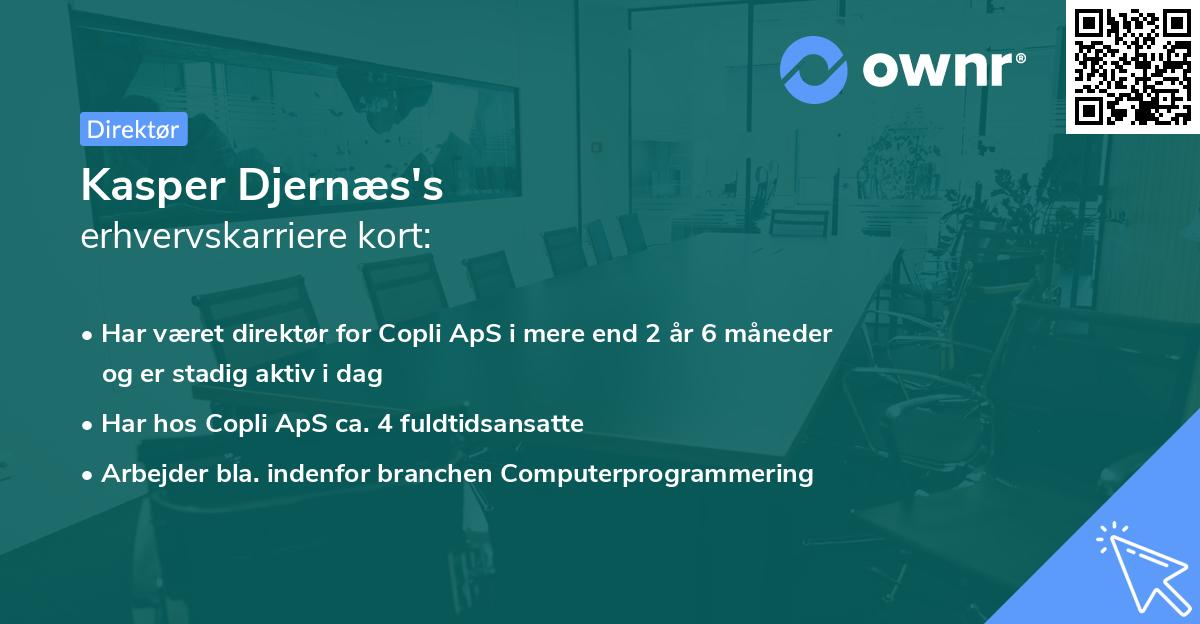 Kasper Djernæs's erhvervskarriere kort