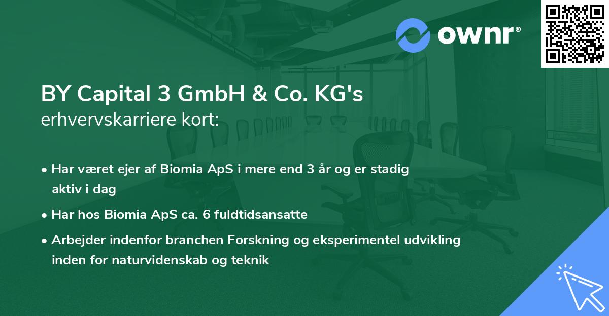 BY Capital 3 GmbH & Co. KG's erhvervskarriere kort