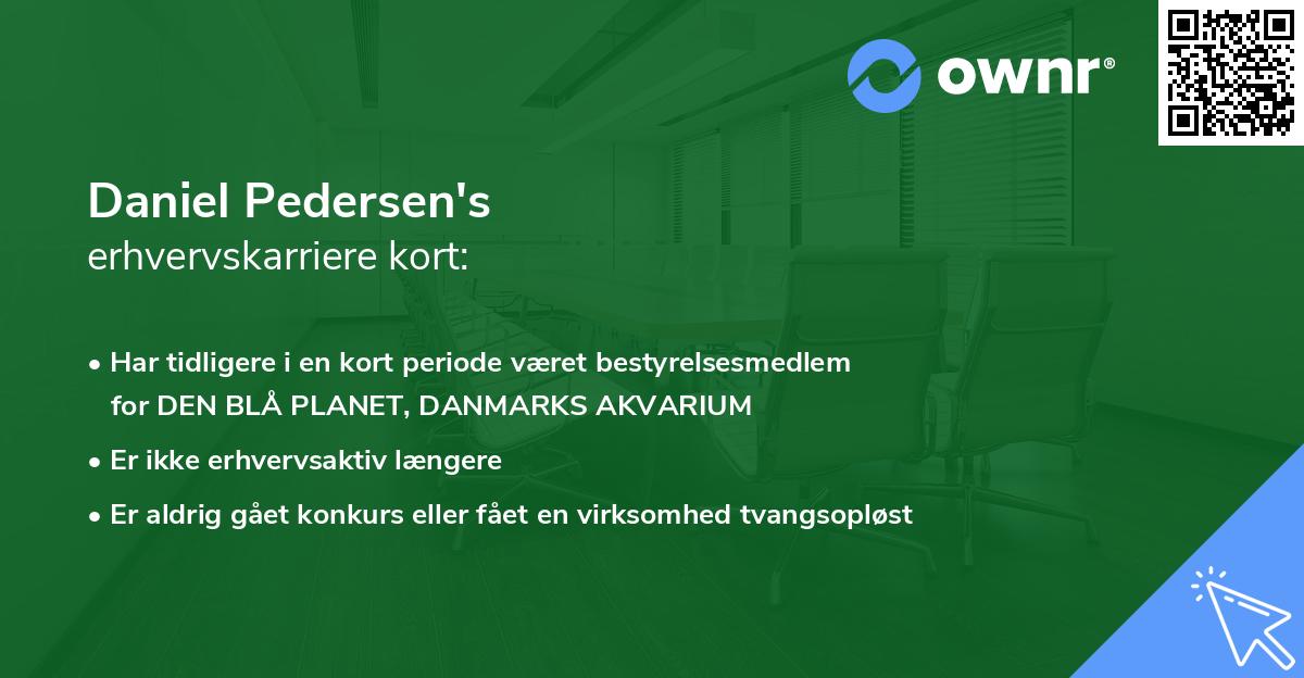 Daniel Pedersen's erhvervskarriere kort