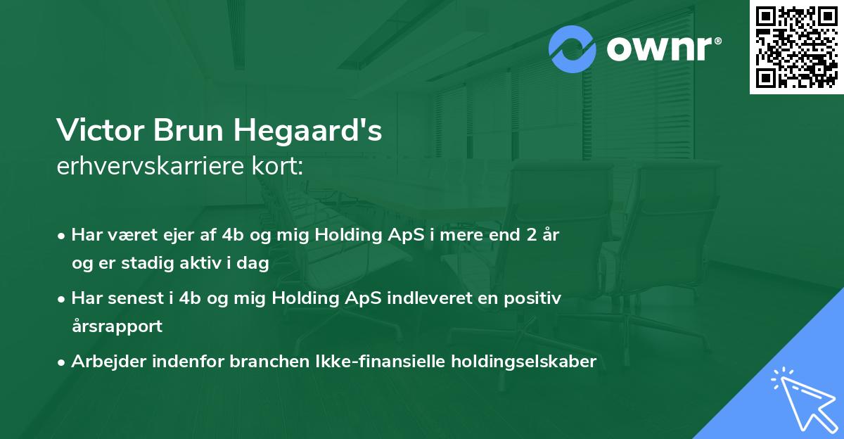 Victor Brun Hegaard's erhvervskarriere kort