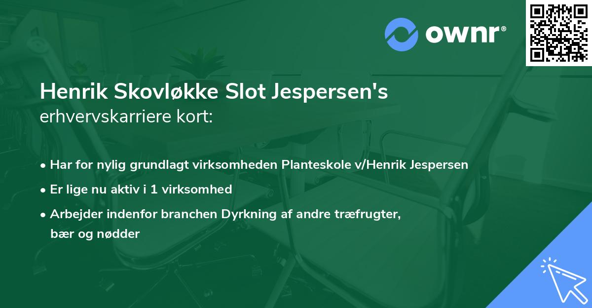 Henrik Skovløkke Slot Jespersen's erhvervskarriere kort