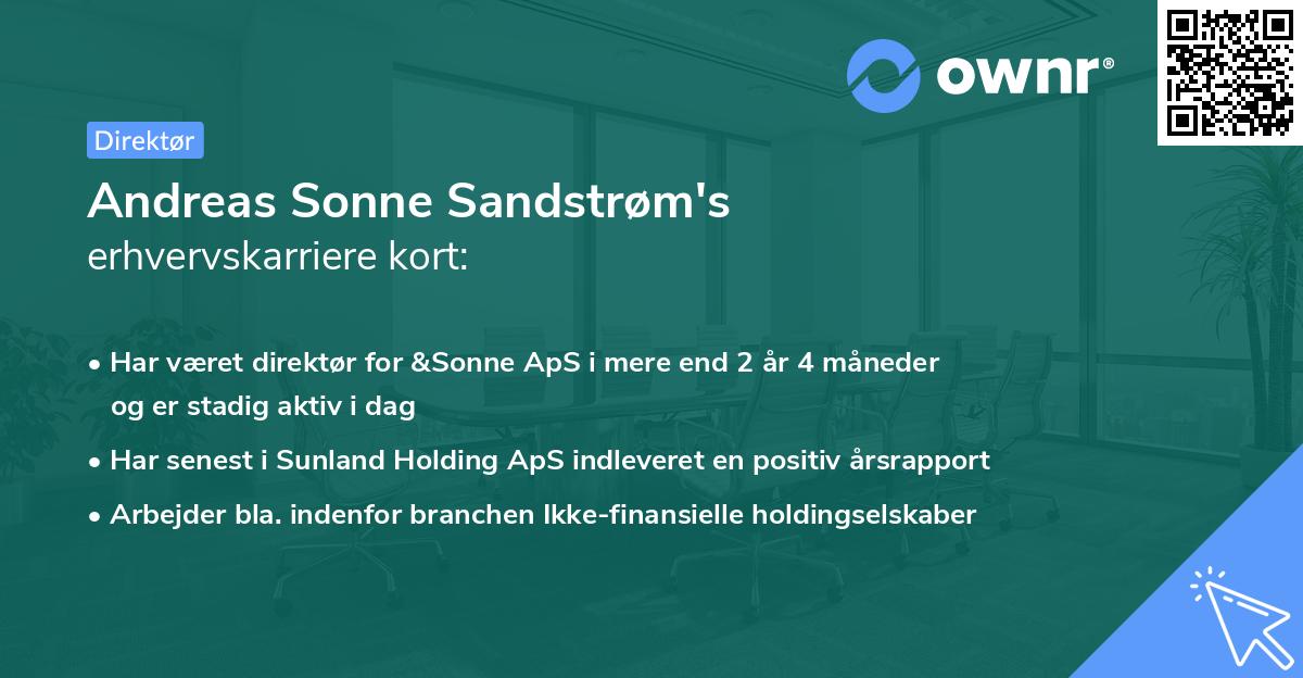 Andreas Sonne Sandstrøm's erhvervskarriere kort