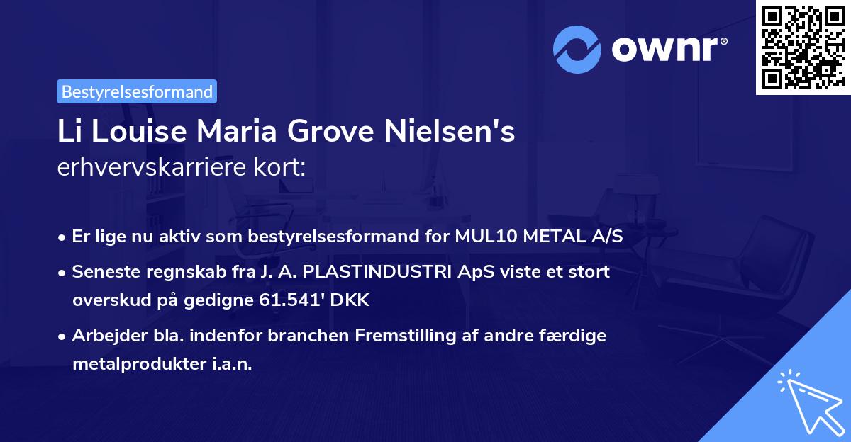 Li Louise Maria Grove Nielsen's erhvervskarriere kort