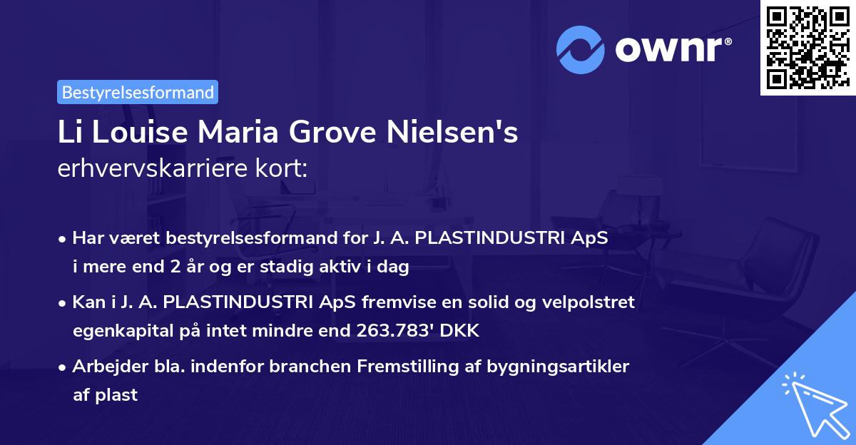 Li Louise Maria Grove Nielsen's erhvervskarriere kort