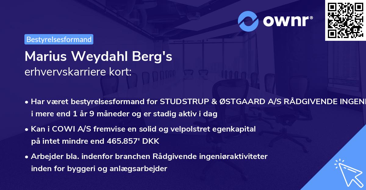Marius Weydahl Berg's erhvervskarriere kort