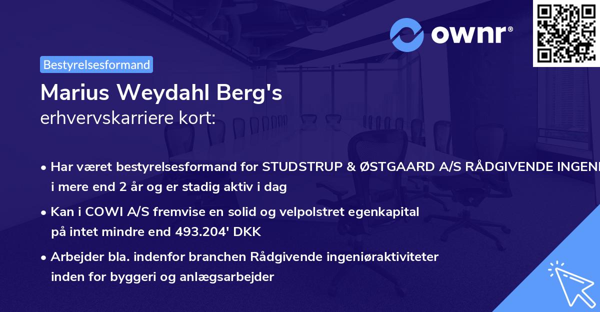 Marius Weydahl Berg's erhvervskarriere kort