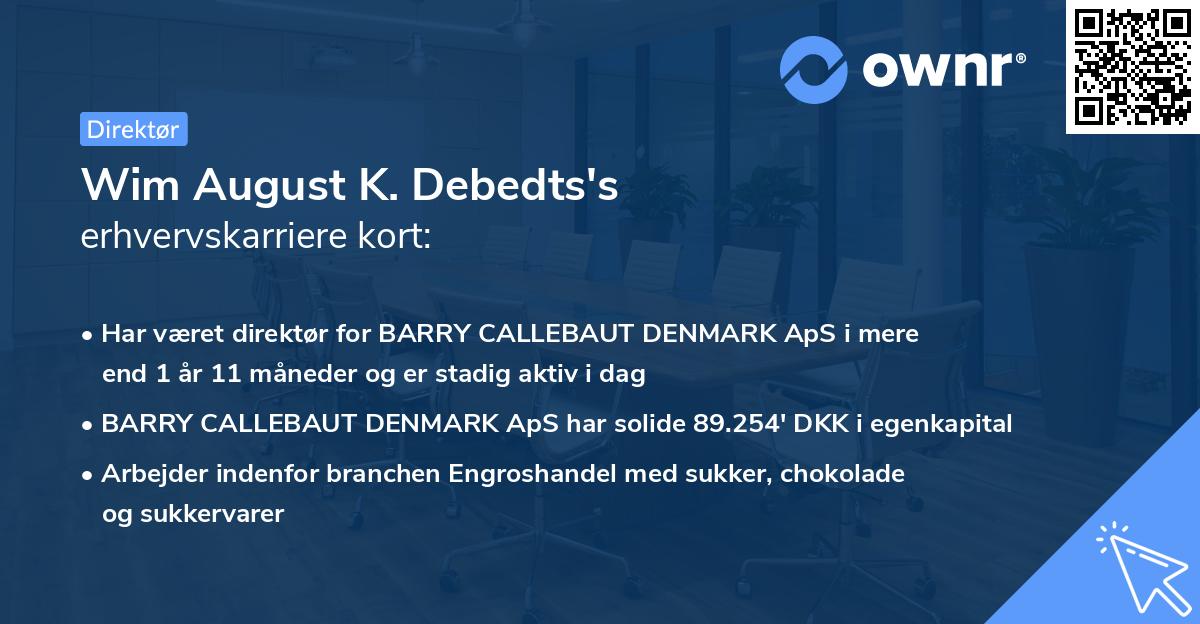 Wim August K. Debedts's erhvervskarriere kort