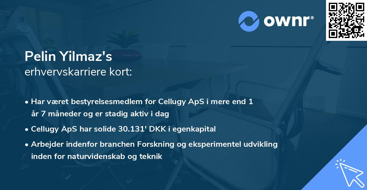 Pelin Yilmaz's erhvervskarriere kort