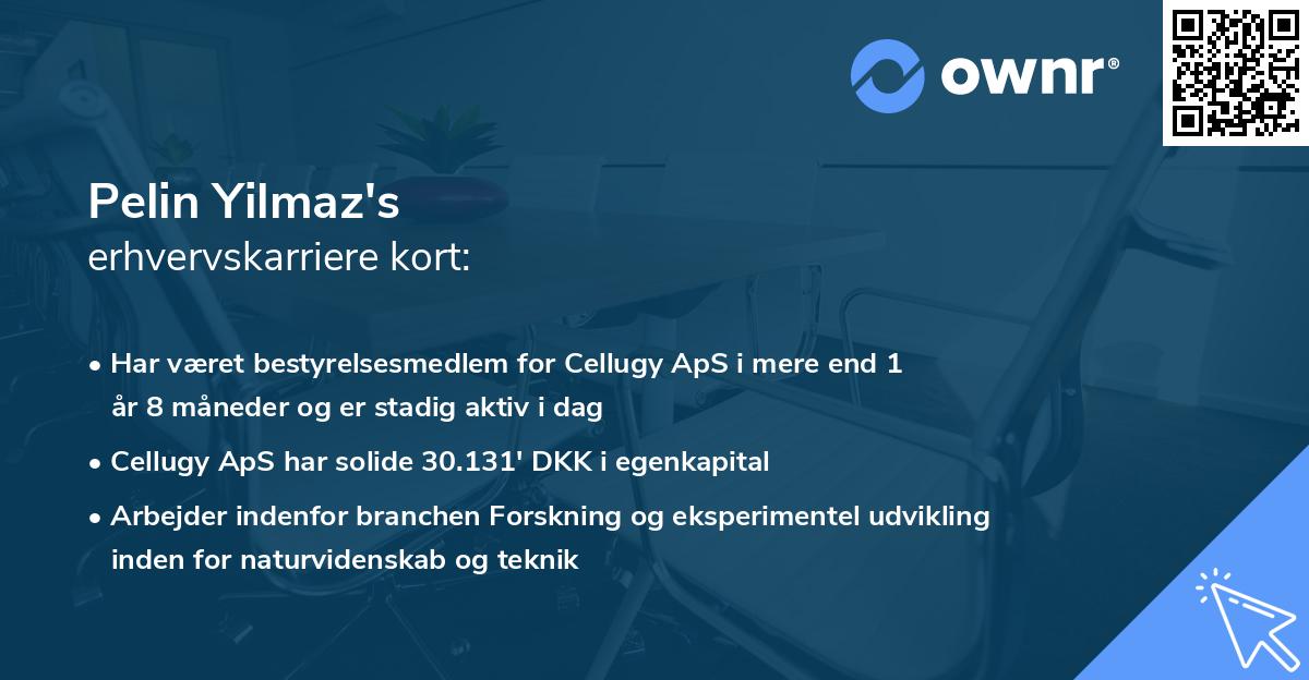 Pelin Yilmaz's erhvervskarriere kort