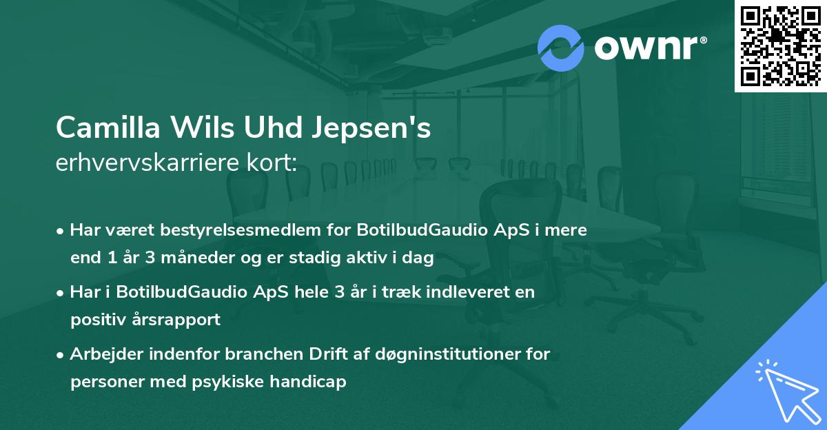 Camilla Wils Uhd Jepsen's erhvervskarriere kort