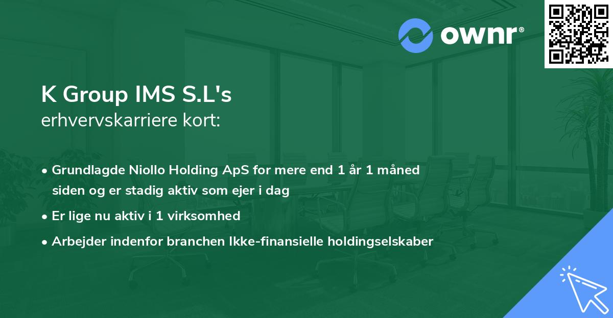 K Group IMS S.L's erhvervskarriere kort