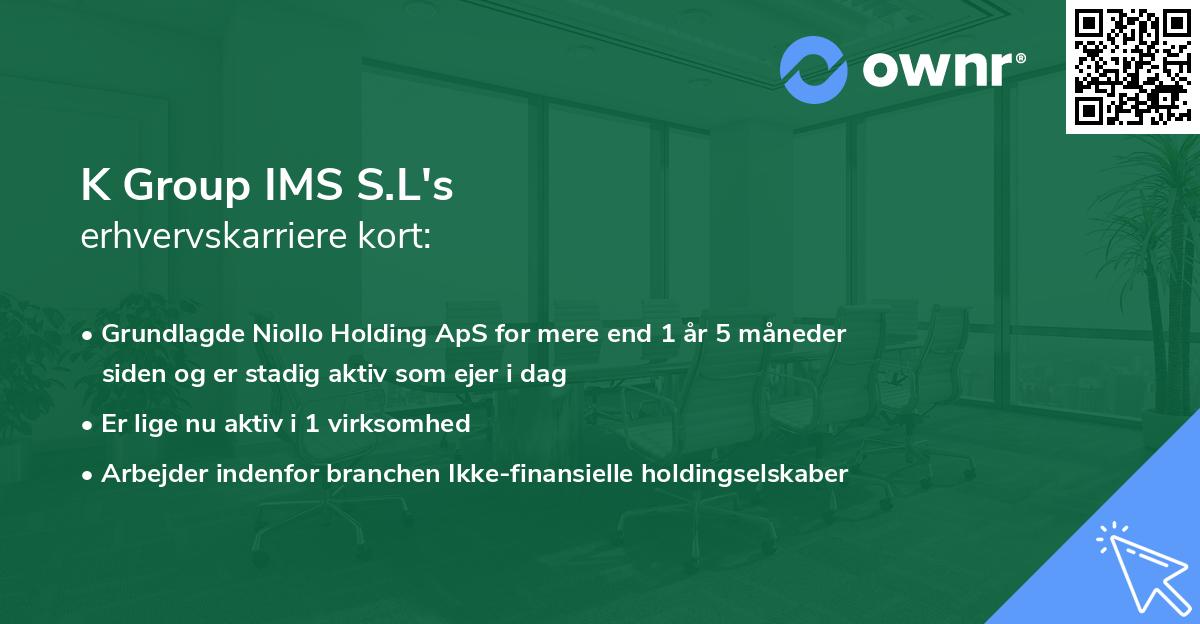 K Group IMS S.L's erhvervskarriere kort