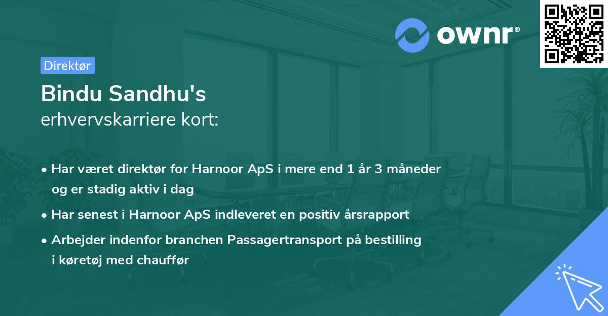 Bindu Sandhu's erhvervskarriere kort