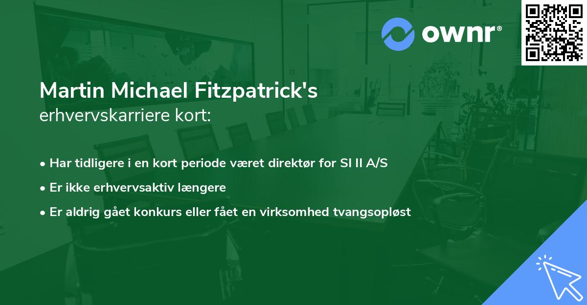 Martin Michael Fitzpatrick's erhvervskarriere kort