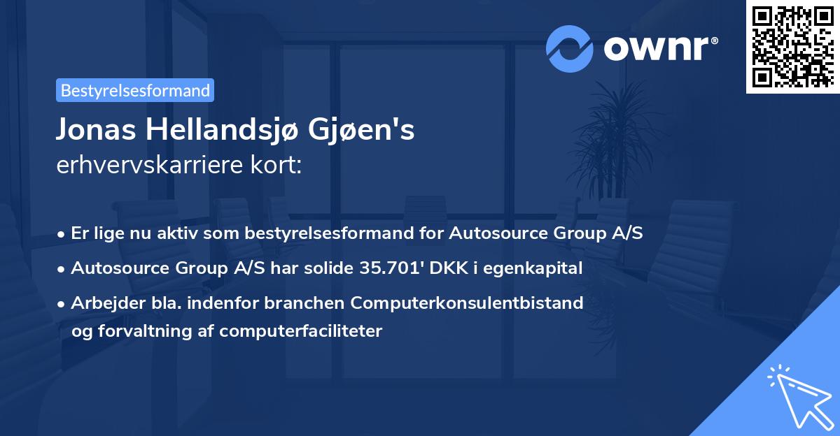 Jonas Hellandsjø Gjøen's erhvervskarriere kort