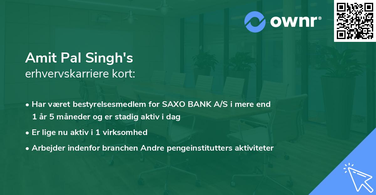 Amit Pal Singh's erhvervskarriere kort