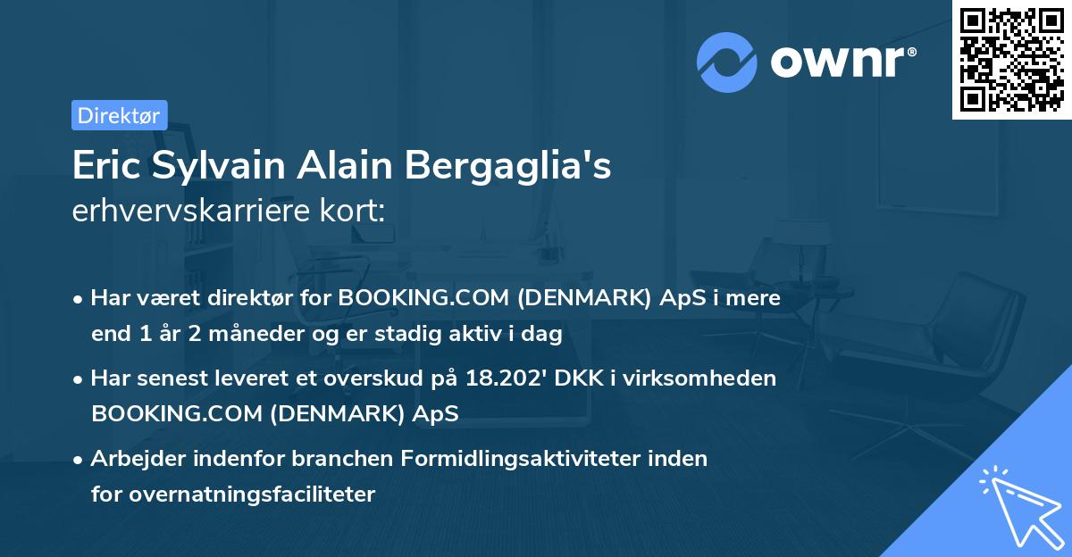 Eric Sylvain Alain Bergaglia's erhvervskarriere kort