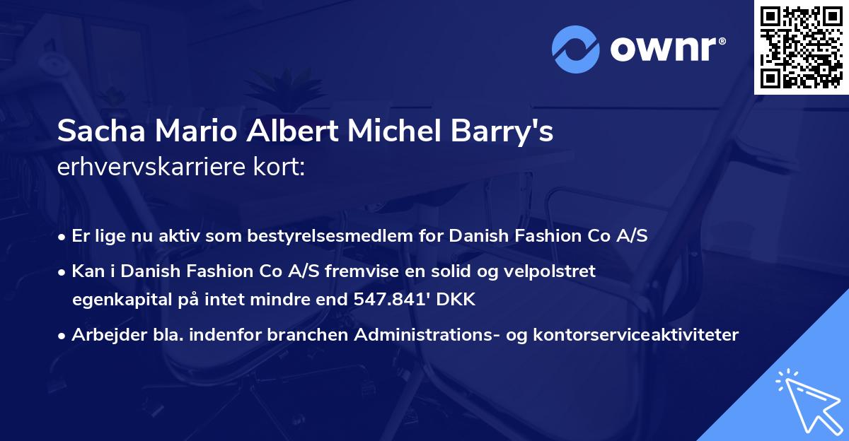 Sacha Mario Albert Michel Barry's erhvervskarriere kort