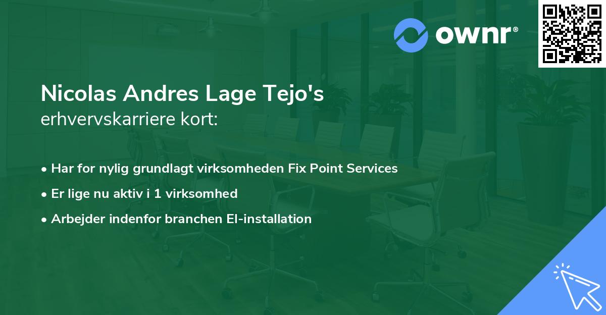 Nicolas Andres Lage Tejo's erhvervskarriere kort