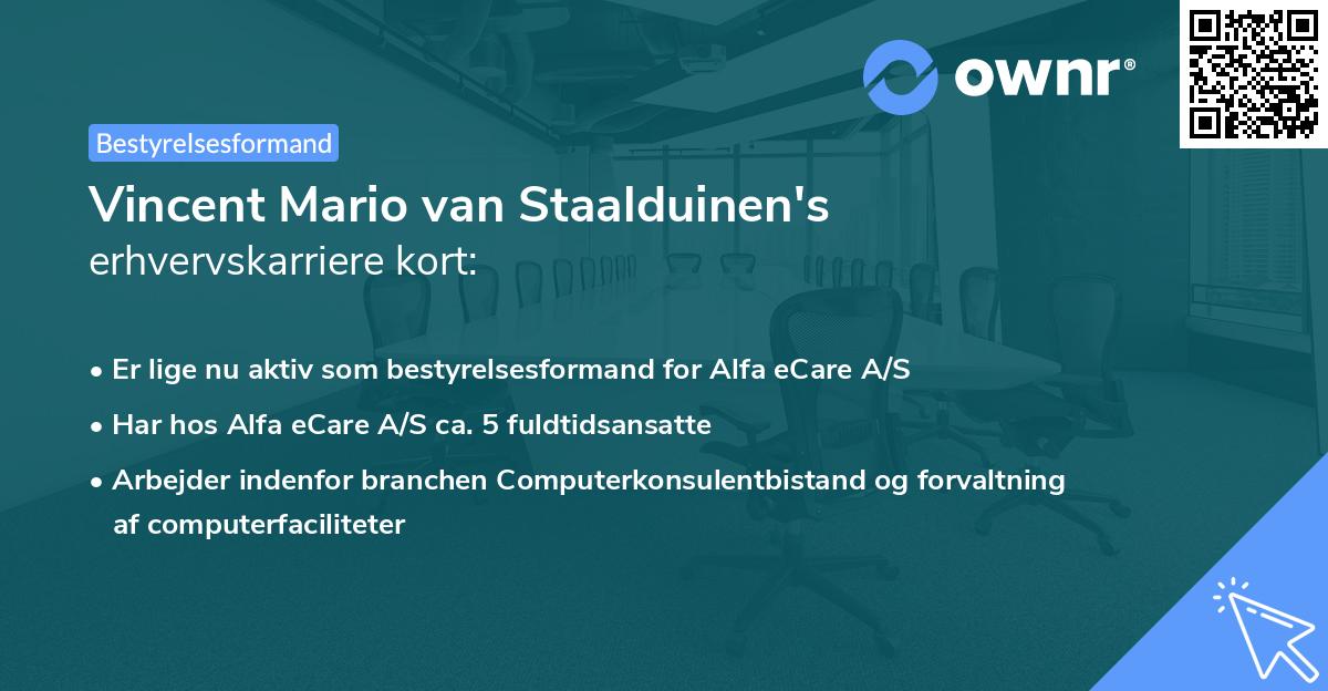 Vincent Mario van Staalduinen's erhvervskarriere kort