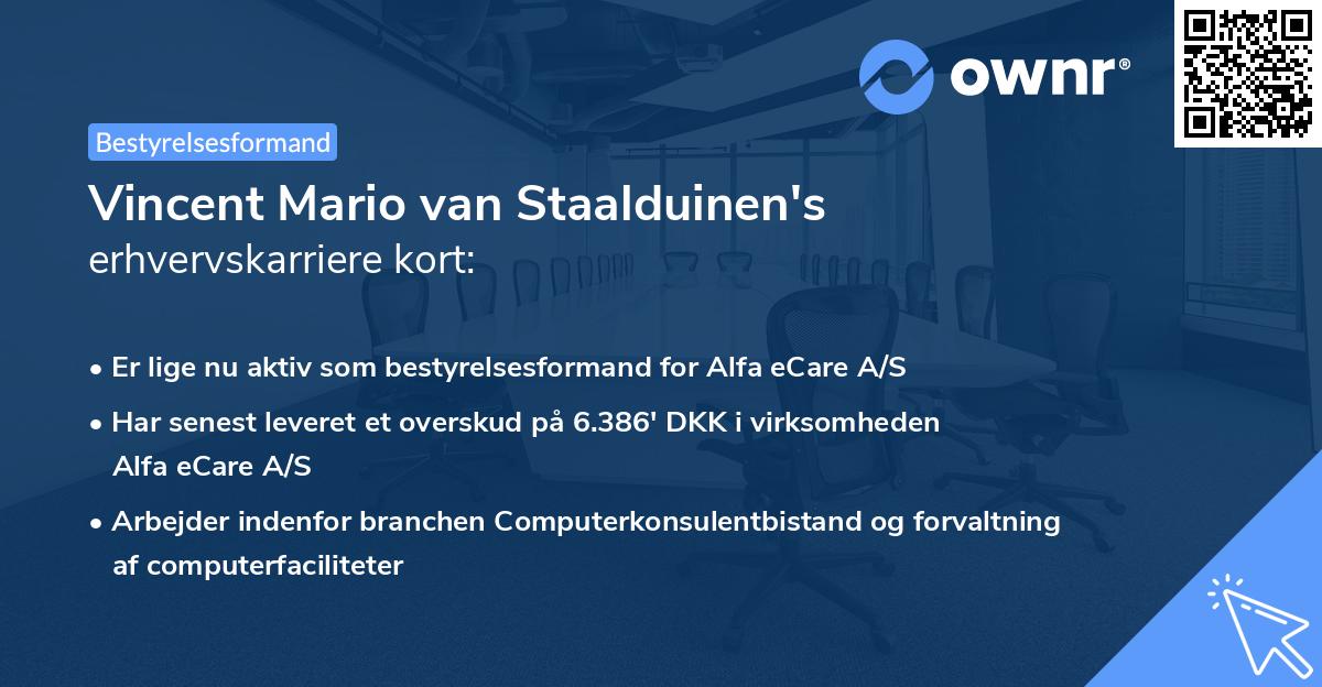 Vincent Mario van Staalduinen's erhvervskarriere kort