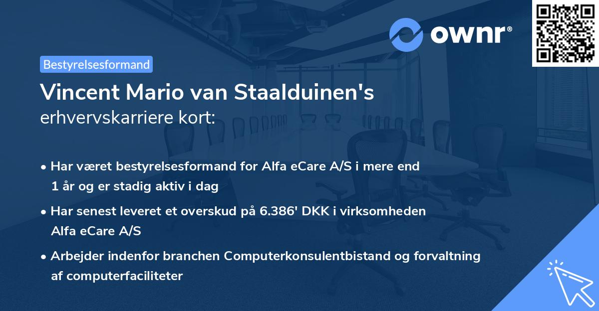 Vincent Mario van Staalduinen's erhvervskarriere kort