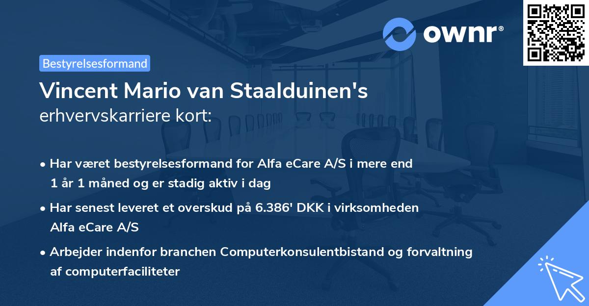Vincent Mario van Staalduinen's erhvervskarriere kort