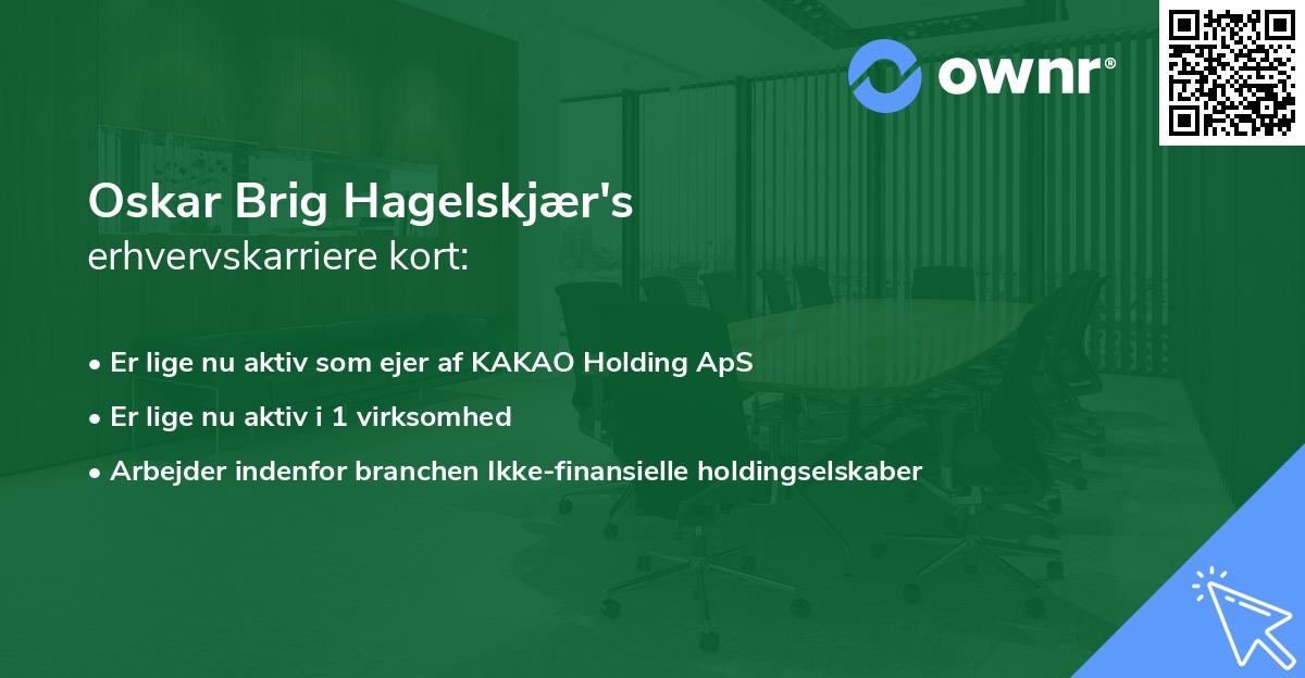 Oskar Brig Hagelskjær's erhvervskarriere kort