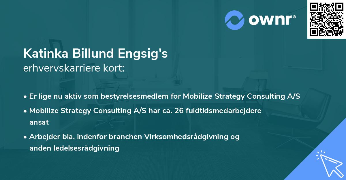 Katinka Billund Engsig's erhvervskarriere kort